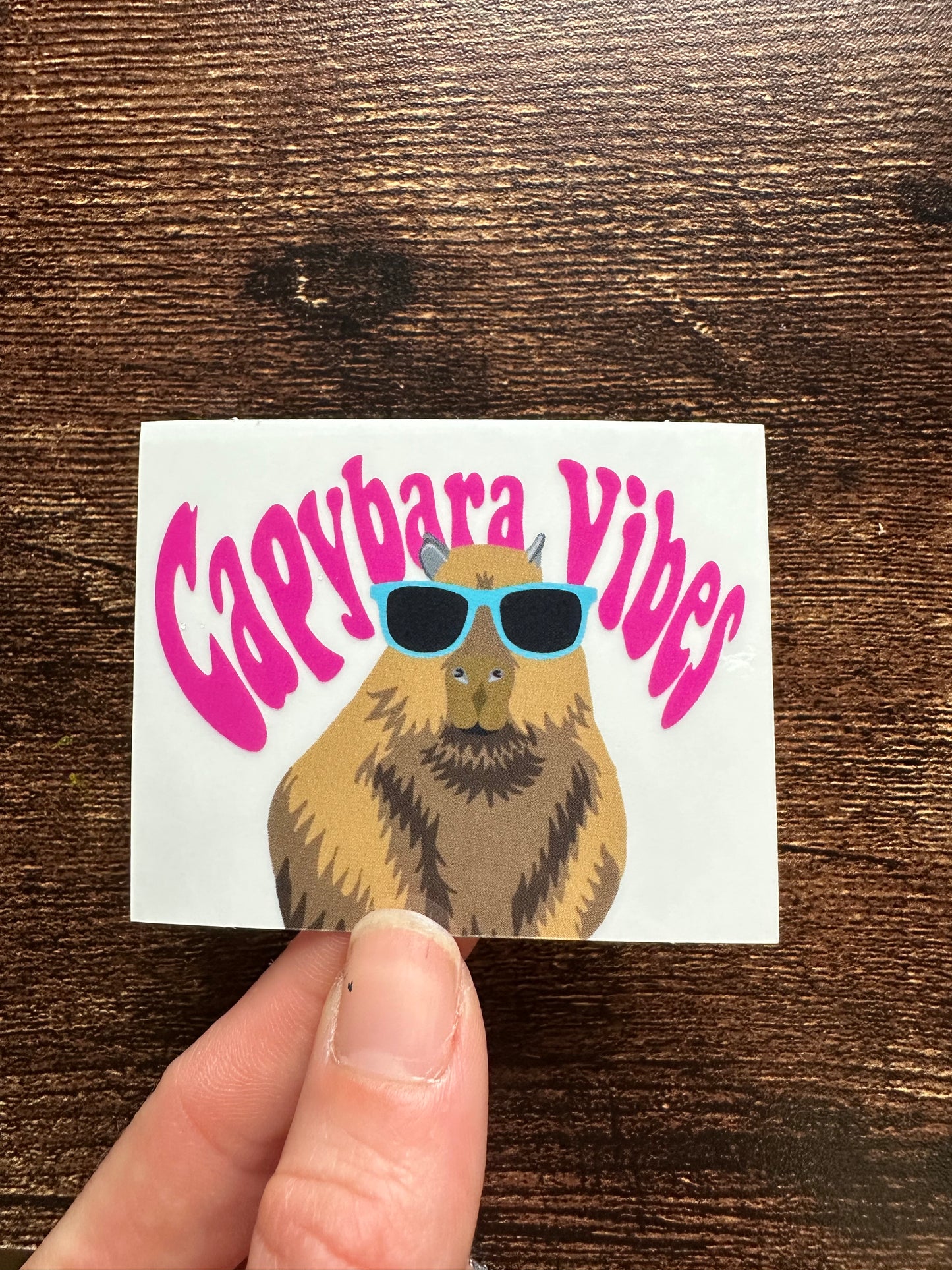 Capybara Vibes