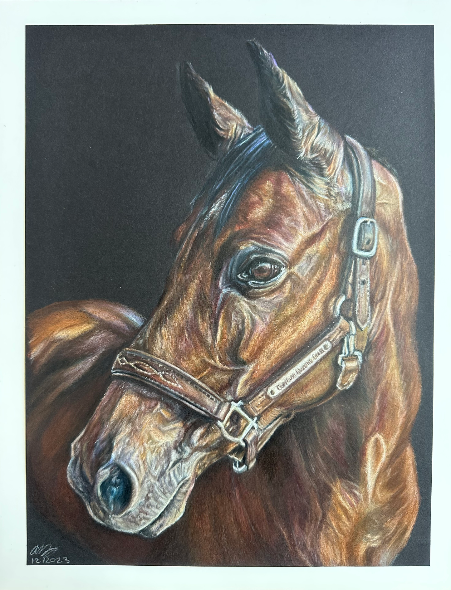 Custom Pet Portraits