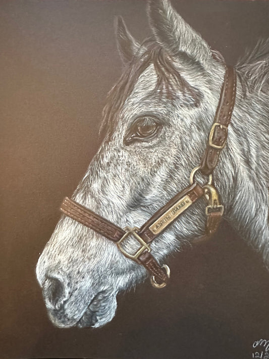 Custom Pet Portraits