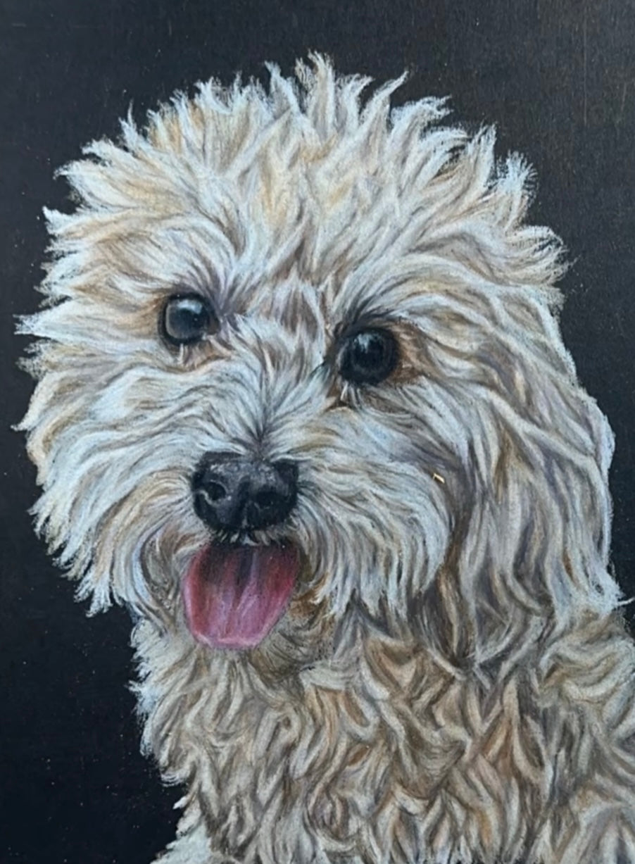 Custom Pet Portraits