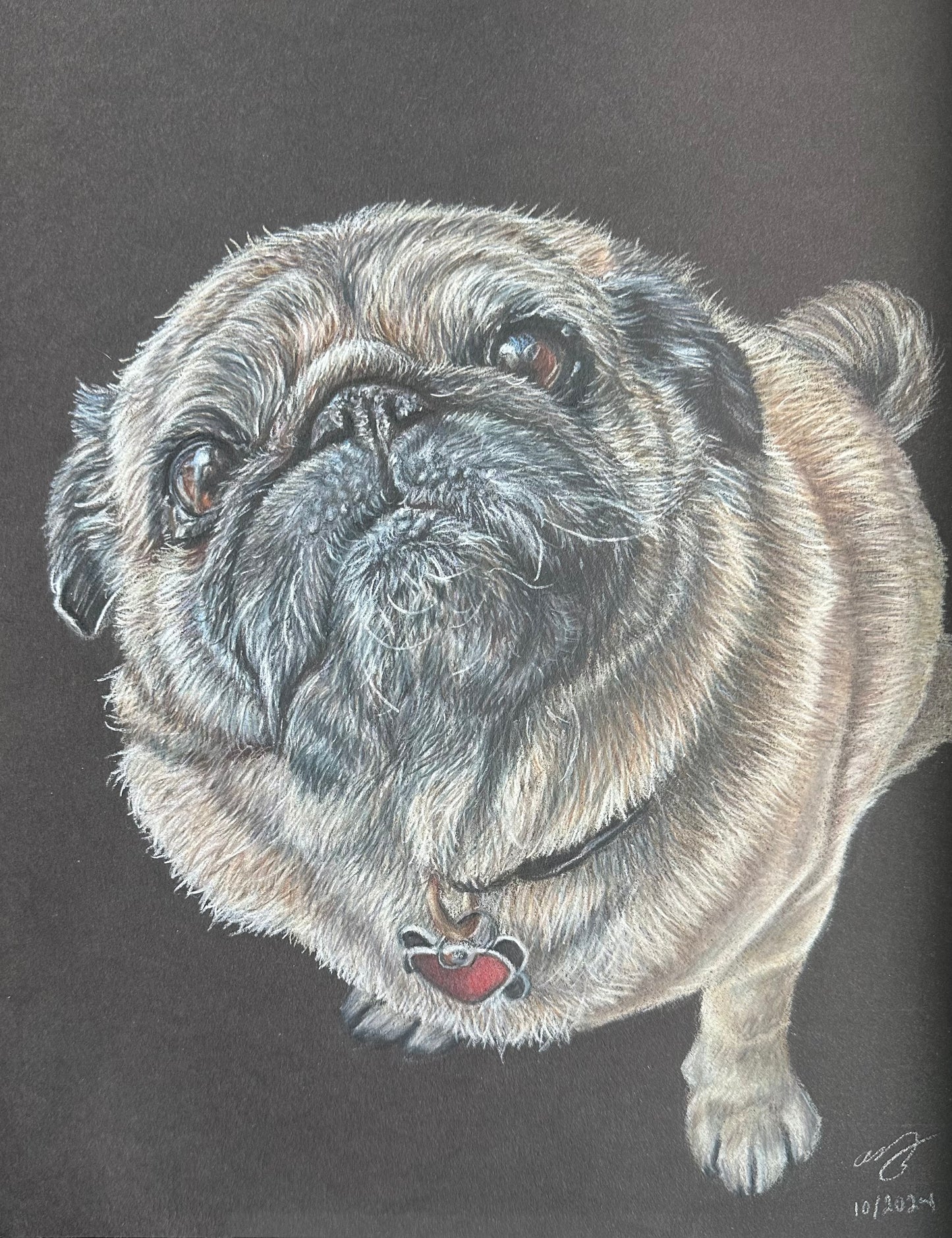 Custom Pet Portraits