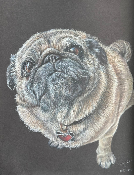 Custom Pet Portraits