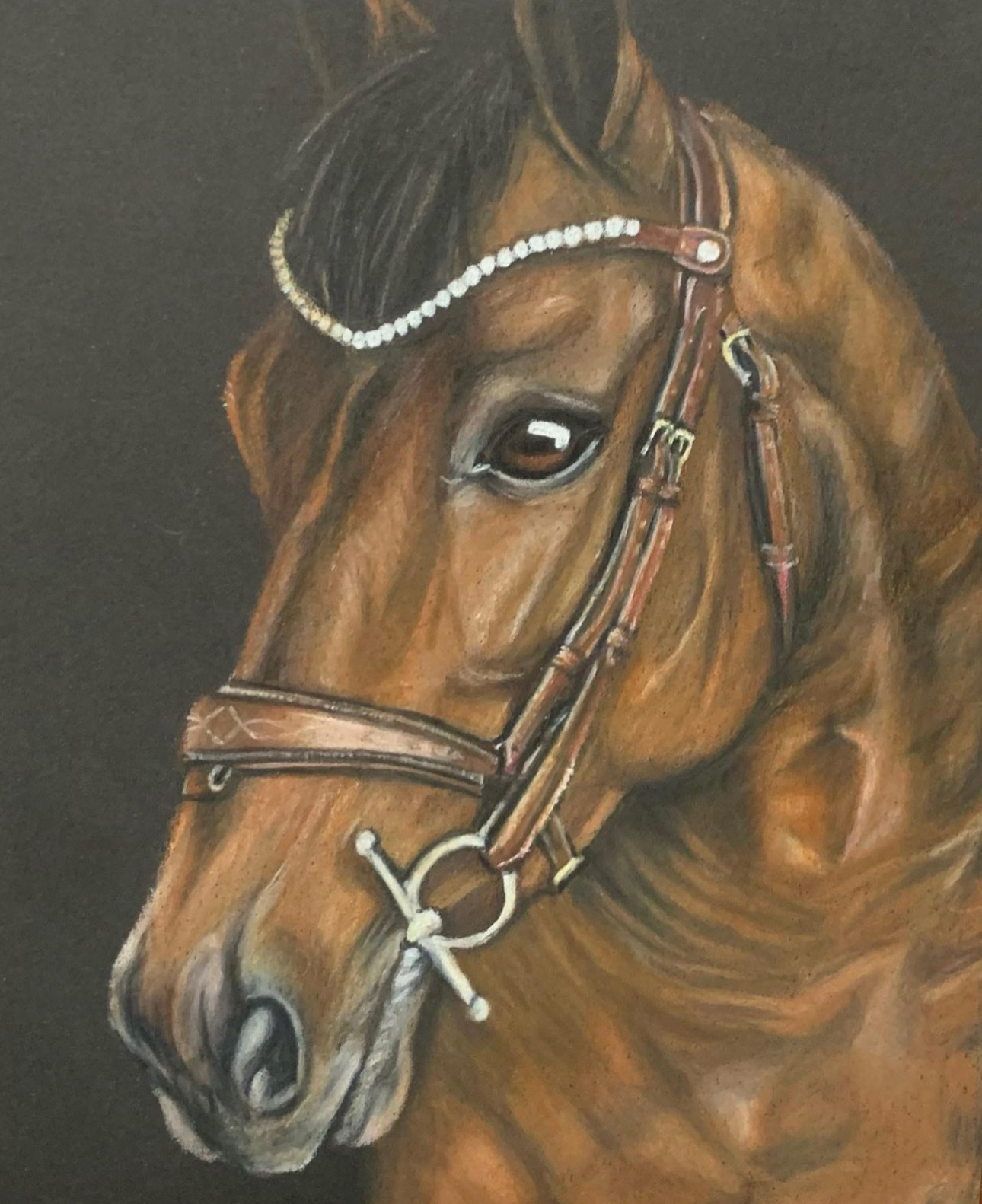 Custom Pet Portraits