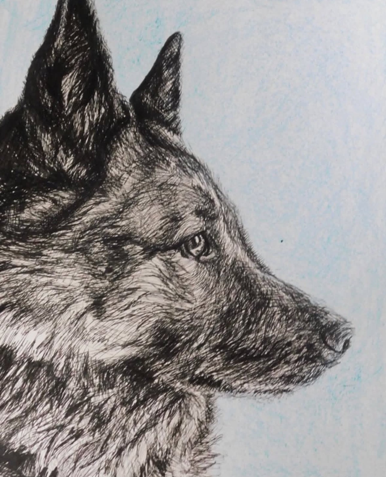 Custom Pet Portraits